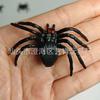 Aranha Falsa Aranha de Halloween Aranha de Plástico Aranha de Plástico Colorida Aranha de Halloween Algodão Aranha Pequena Transfronteiriça