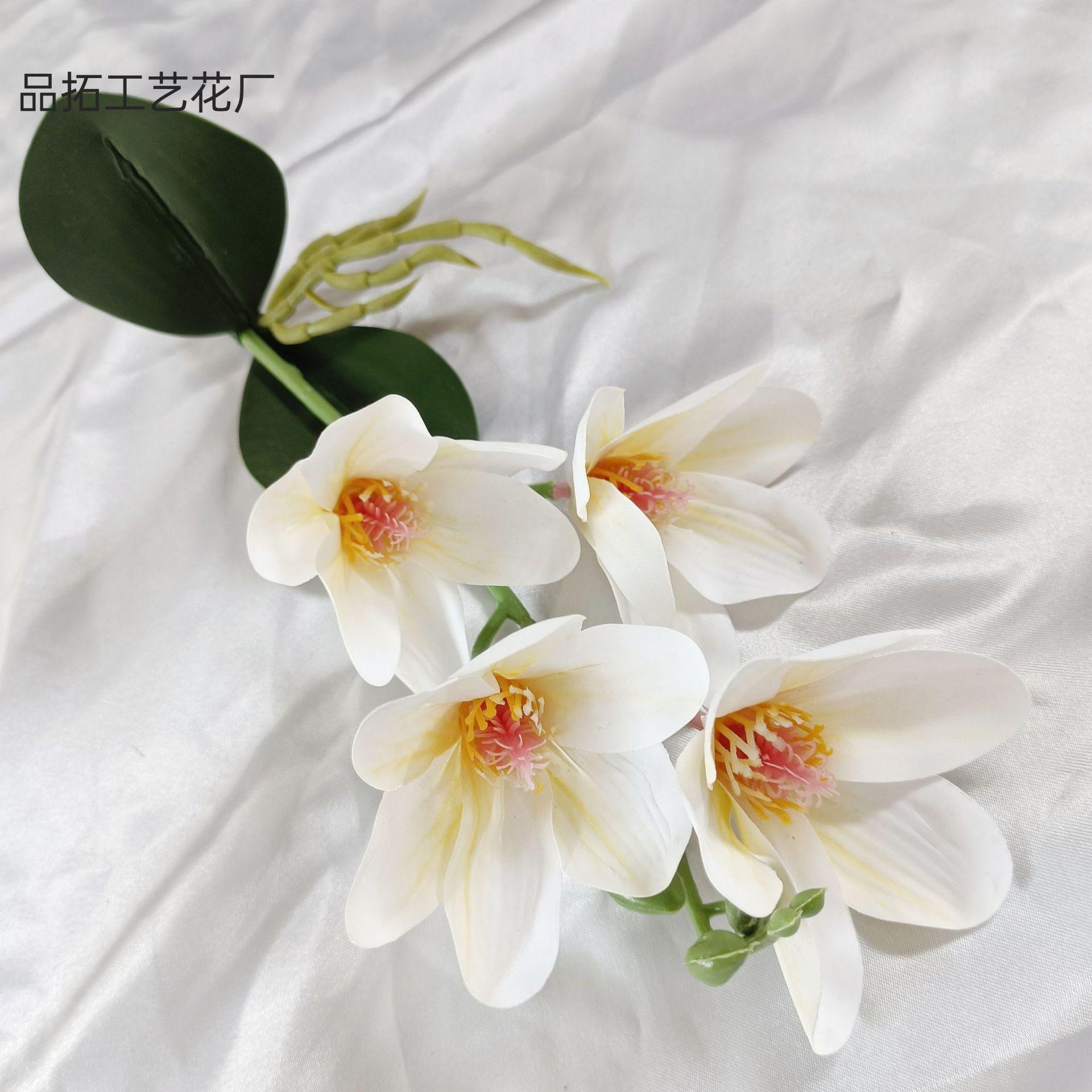 99f0636cd49adc9b6b30a7361e3f75