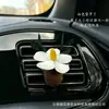 Planta de Fruta Natural Flor Seca Ambientador de Coche Decoración de Rejilla Difusor de Gama Alta Regalo para Coche Fragancia para el Interior del Coche