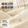Nuevos Calcetines Populares para Niños 2026, Calcetines sin Costuras de Media Pantorrilla para Primavera y Otoño, Algodón de Xinjiang Clase A, Calcetines Lindos de Dibujos Animados para Niñas