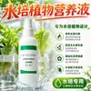 Solução Nutritiva para Plantas Hidropônicas Tipo Geral para Narciso, Clorofito, Árvore da Fortuna, Lírio d'Água, Lótus de Vasilha, Bambu da Sorte Fertilizante Especial