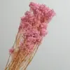 Nochevieja Flor Eterna Hierba Bigote de Dragón Material Paisaje Pino Penglai Día de Año Nuevo Colgante de Frijol Arroz Bienvenida de Boda Rosa Decoración del Hogar