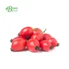 Extracto de rosa mosqueta planta VC10% extracto de rosa polvo de materia prima para manchas ventas directas de fábrica