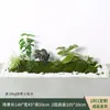 Musgo Artificial Verde para Paisajismo, Micro-Paisajes de Jardín, Materiales Decorativos, Musgo Artificial, Adornos de Césped Artificial