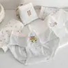 Calzones de algodón lindos y cómodos para niñas, amigables con la piel, cobertura total, antibacterianos 10A, entrepierna extendida, calzones tipo triángulo para estudiantes