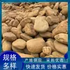 Piedra de cera amarilla Venta al por mayor roca natural de cera amarilla piedra de cera amarilla piedra de revestimiento Liuxi borde de estanque de peces fabricante de piedra de cera amarilla