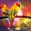 Serie de animales nuevos transfronteriza pintura de diamantes 5d diy diamante completo pintura decorativa venta al por mayor gran cantidad y excelente suministro de comercio exterior