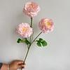 Nova 3-cabeça Koi Peônia Casamento Auditório Casamento Flor Row Road Flower Arrange Decorative Simulação Vaso Colocação de Flores em estoque