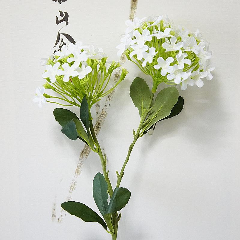 DSC06396.JPG