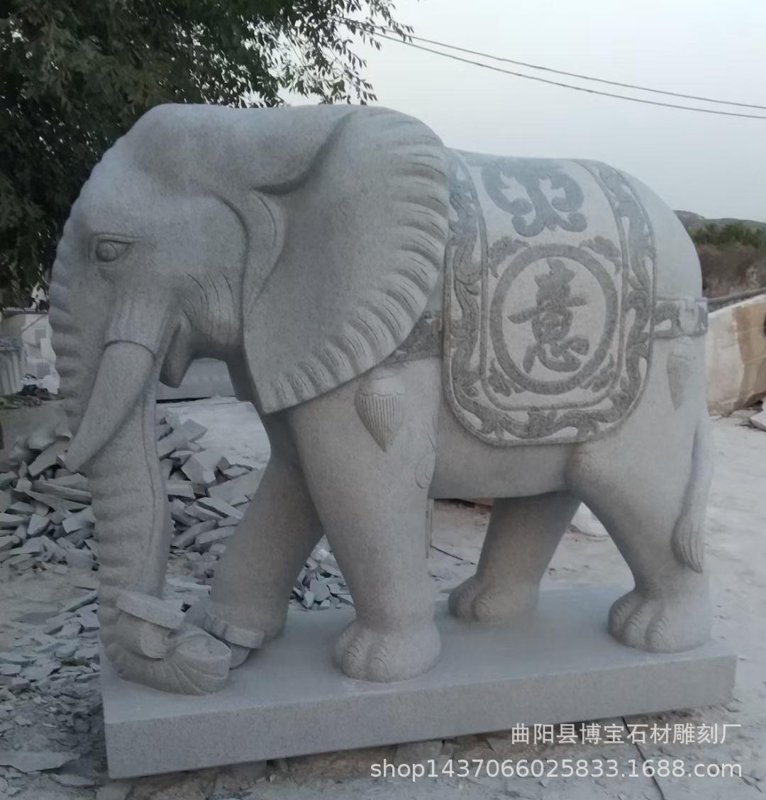QQ图片20231027212639