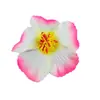 Flor de Hibisco Artificial Nova Diâmetro 10cm Foto de Viagem Roupa de Banho para Praia Acessórios Criativos para Cabelo Decoração de Sala de Estar Casamento