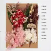 Bolsa de Materiales DIY Flor Seca Inmortal Tuanjian Marco de Fotos Pintura Tarjeta de Felicitación Tuanfan Ramo Pequeño Hecho a Mano Flor Real Bolsa de Flores en Relieve