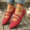 Zapatos planos de verano para mujer, talla grande, transfronterizos 2025, de gamuza, punta fina, moda, importación, tipo slip-on, con estampado de leopardo