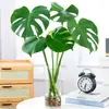 Plantas hidropónicas de Ave del Paraíso, flores para la sala de estar, plantas en maceta de rábano verde, plantas hidropónicas de Diamante Dorado, bambú de la suerte, monstera, plantas verdes fáciles de cuidar