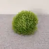 Flor de Clavel Verde Simulada Cabeza Redonda Bola de Pelo Verde Paisajismo de Micro Paisaje Interior Plantas Verdes Decoración de Sala de Estar en Casa Plantas Falsas