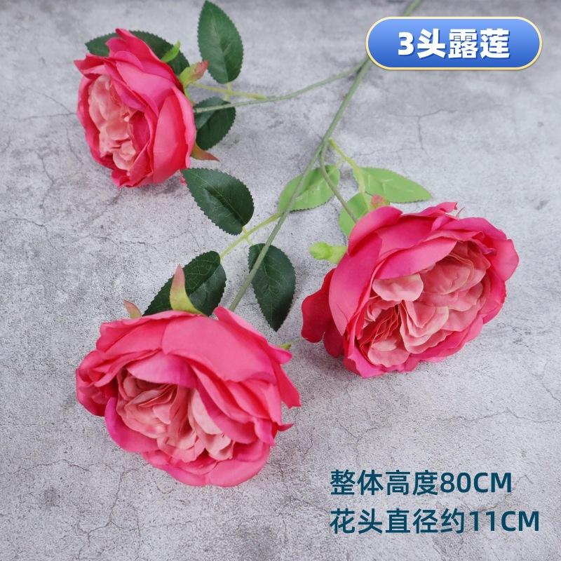 O1CN01cMobf02Hq70JTT6Ep_!!2213