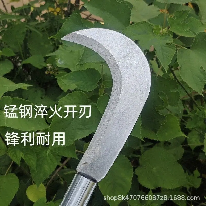 微信图片_20260525102342_4300_24.jp