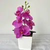 Nuevo producto transfronterizo: Mini Orquídea Phalaenopsis Bonsái, Decoración Realista para Escritorio del Hogar, Accesorio para Fotografía, Planta de Flores Artificiales