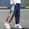 Ropa para Niños Pantalones de Verano para Niños Pantalones Antimosquitos 2022 Nuevos Pantalones Deportivos Finos de Verano para Niños Tendencia Comercio Exterior