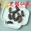 Nova Pulseira de Madeira para Wenwan Chinês Estilo Retrô Pulseira Yi Ming Xian Yuan Pulseira Criativa Unissex de Contas