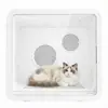 Caixa Secadora para Pets Secador Inteligente para Gatos com Alta Potência, Operação Silenciosa, Secagem Rápida, Universal para Gatos e Cachorros, Temperatura Constante, Grande Capacidade