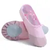 Zapatos de Baile para Niñas y Adultos Suela Blanda Danza China Zapatos Profesionales de Ballet para Práctica para Niñas Color Piel Zapatos de Baile Clásico