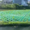 Humedales Flotantes, Áreas Acuáticas Flotantes, Humedales de Fibra Compuesta de Polímero, Acuacultura, Contratación de Proyectos