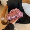 Bolso Plisado Estilo Francés para Mujer 2026 Nuevo de Moda Popular en Internet Bolso Dumpling de Moda Casual Elegante Bolso de Hombro Cruzado