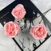 Rosa artificial de tres cabezas Austin para boda, tela para decoración del hogar, accesorios de fotografía, flores falsas suaves, arreglo floral para pared
