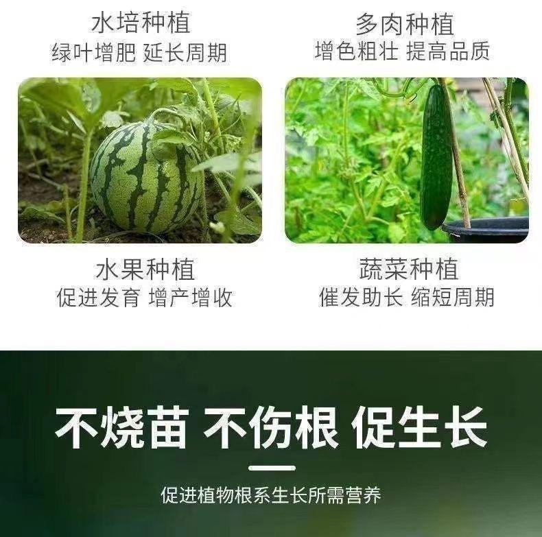 微信图片_20241226165318.jpg