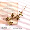 Pacote de Material de Flores Secas Espécime Jardim de Infância Casca de Fruta Caseira Flor Seca Bolota Porta-Retrato Espécime Pinha Porta-Retrato DIY Feito à Mão