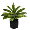 Planta de Simulação Sala de Estar Vasos Chão Janela Decoração Paisagem Interna Decoração Sisal Agave Verde Vermelho de Simulação