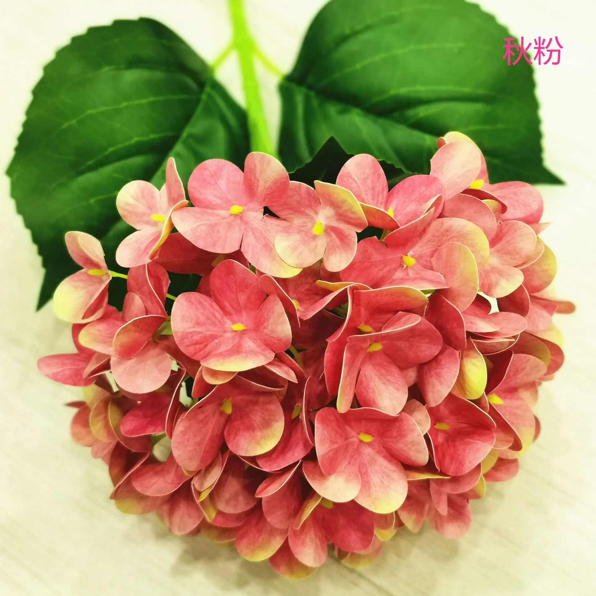 IMG_20200505_144802_副本