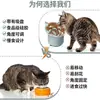 Tazón de Silicona para Gatos de Alimentación Lenta con Ventosa, Tazón Desmontable Anti-Atragantamiento para Gatos, Diseño de Boca Inclinada Elevada para Protección del Cuello, Adecuado para Gatitos y Gatos Adultos, Disponible para Venta al por Mayor