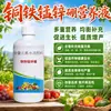 Calcio Magnesio Boro Zinc Hierro Potasio Fertilizante Suplemento de Calcio Árboles Frutales Verduras Flores Aumentar Producción Verduras Agrícolas Verduras Caseras Cultivo Fertilizante Compuesto