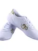 Sapatos de Artes Marciais Coreanos, Sapatos de Tai Chi, Sapatos de Treinamento Indoor para Performance de Taekwondo, Sapatos para Exercício Matinal de Kung Fu