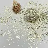 64 Cores - Celebridade da Internet Mais Vendido Tamanho Misto Estrela de Cinco Pontas Prateada, Coração, Onda e Ponto Shaped Decorações para Nail Art Materiais DIY