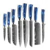 Juego de Cuchillos de Chef para Venta al por Mayor en Amazon Transfronterizo, Cuchillo Santoku para Rebanar Frutas, Cuchillo de Cocina Multiusos para Deshuesar, Juego de Cuchillos de 10 Piezas
