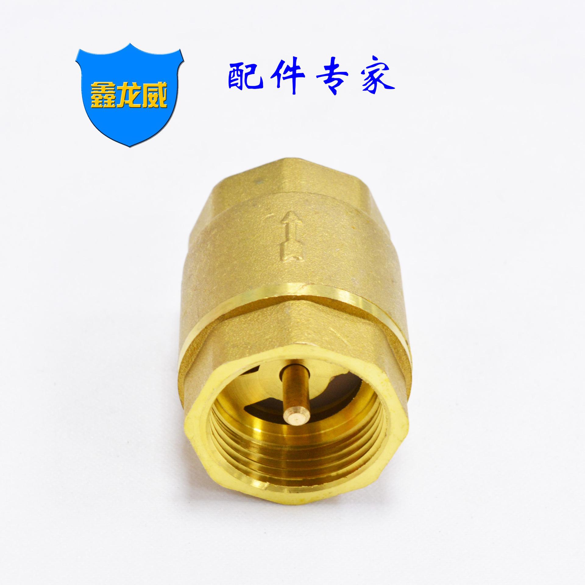 1寸立式止回阀普通.jpg