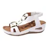 Sandalias Ligeras de Verano con Calados para Mujer, Sandalias de Playa Gruesas de Moda, Chanclas Dopamina de Talla Grande para Exportación, Elegantes