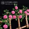 Simulación peonía rosa ratán planta de plástico enredadera flor artificial sala de estar tubería de aire acondicionado enrollamiento decoración sombra