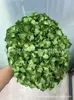 [Niebla Natural Hortensia] Flor Eterna Flor Seca Hortensia Anna Hortensia Lobular Material para Boda DIY Venta al por Mayor