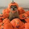 Chapéu de abóbora para gato e cachorro de estimação transfronteiriço, decoração de festival fantasma de Halloween, adereço de cabeça, cães pequenos, médios e grandes, Teddy, chapéu de balde francês