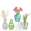 Jarrón de Cristal Repujado Vintage de Lujo de Entrada Sencilla Estilo Ins Jarrón para Mesa de Comedor Botella Decorativa Hidropónica Transparente Estilo Europeo