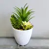 Planta Suculenta Artificial Nova Transfronteiriça em Vaso Impermeável Decoração de Casa Planta Verde em Vaso Suculenta Florais Simples e Versátil