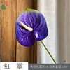 Anthurium Moderno Sin Rociado Goma Suave Palma Grulla de Fuego Flor de Centro Comercial Pared de Flores Paisajismo Flores Artificiales Arreglo Floral para Boda Flores Decorativas de Seda