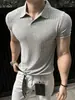 Camiseta de Manga Corta con Cuello de Gaviota Estilo Old Money para Hombre, Fresca para el Verano, Cuello Polo, Corte Casual, Camiseta de Media Manga