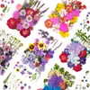 33 Piezas de Combinación con Relieve, Se Pueden Usar para Calcomanías Hechas a Mano, Fundas de Teléfono Secadas con Pegamento, Velas de Aromaterapia, Producción Creativa de Flores, Decoración del Hogar, Regalos de Acción de Gracias y Navidad