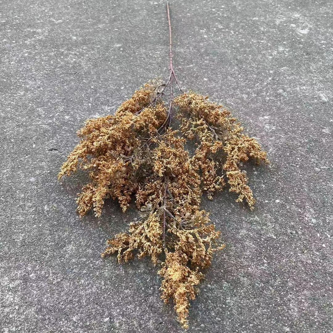 微信图片_20241004173710_副本