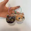 Lindo Colgante de Almacenamiento de Cabeza de Gato Grande, Caja Creativa Transparente para Guardar Pelo de Gato, Colgante de Almacenamiento de Gato Extra Grande